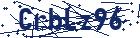 captcha here