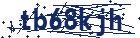 captcha here