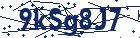 captcha here