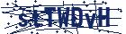captcha here